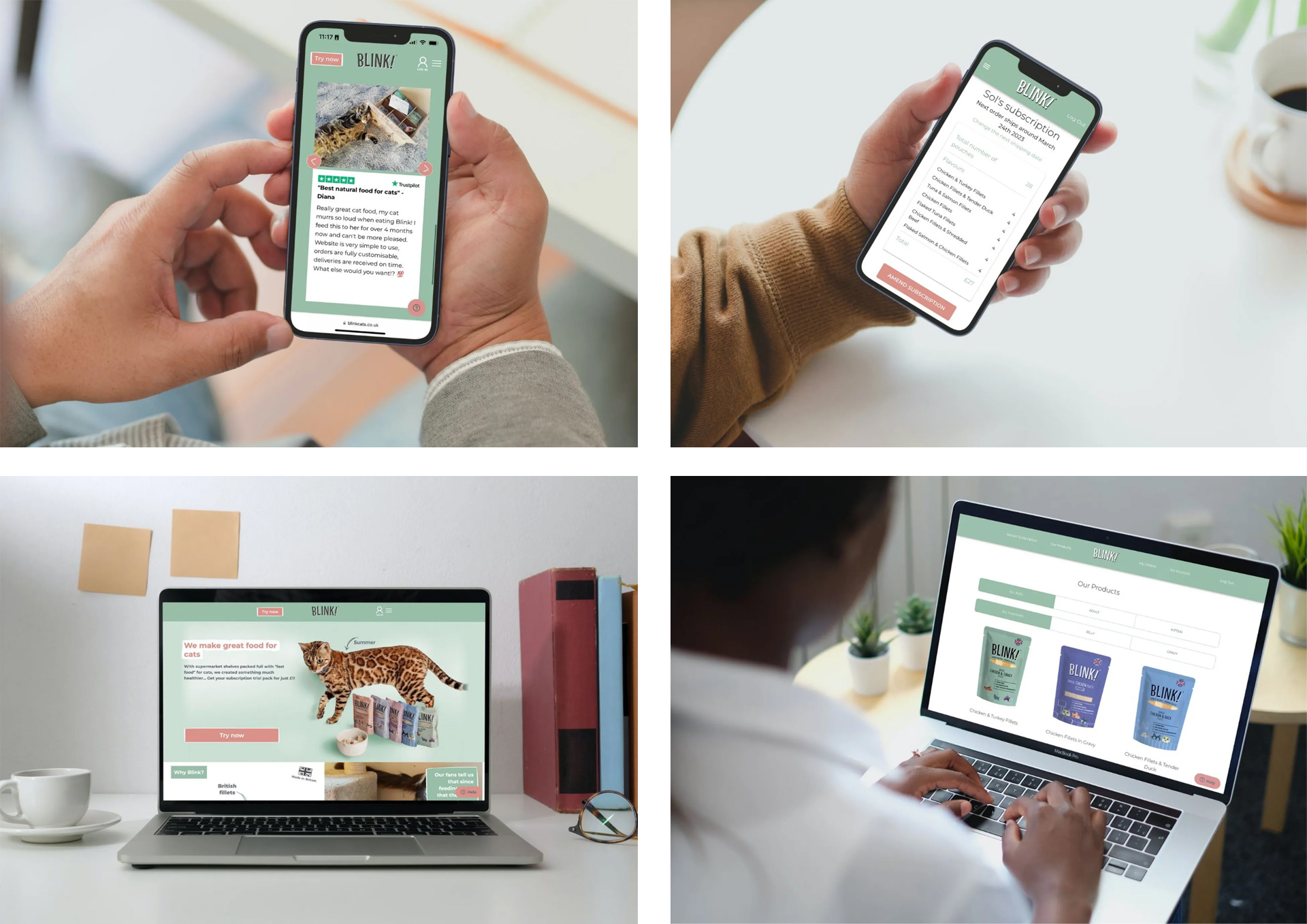 Blink cat food subscription platform